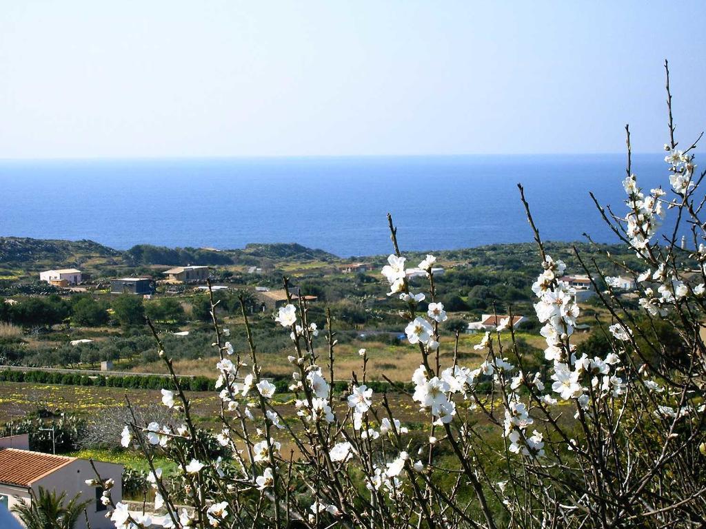 Caserta